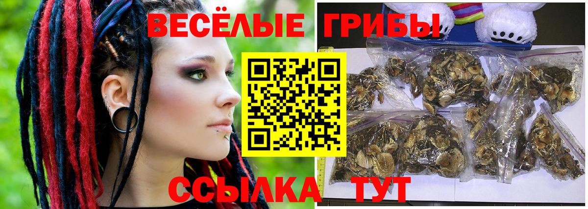 Домодедово  Галлюциногенные грибы Psilocybe  Вход с VPN 